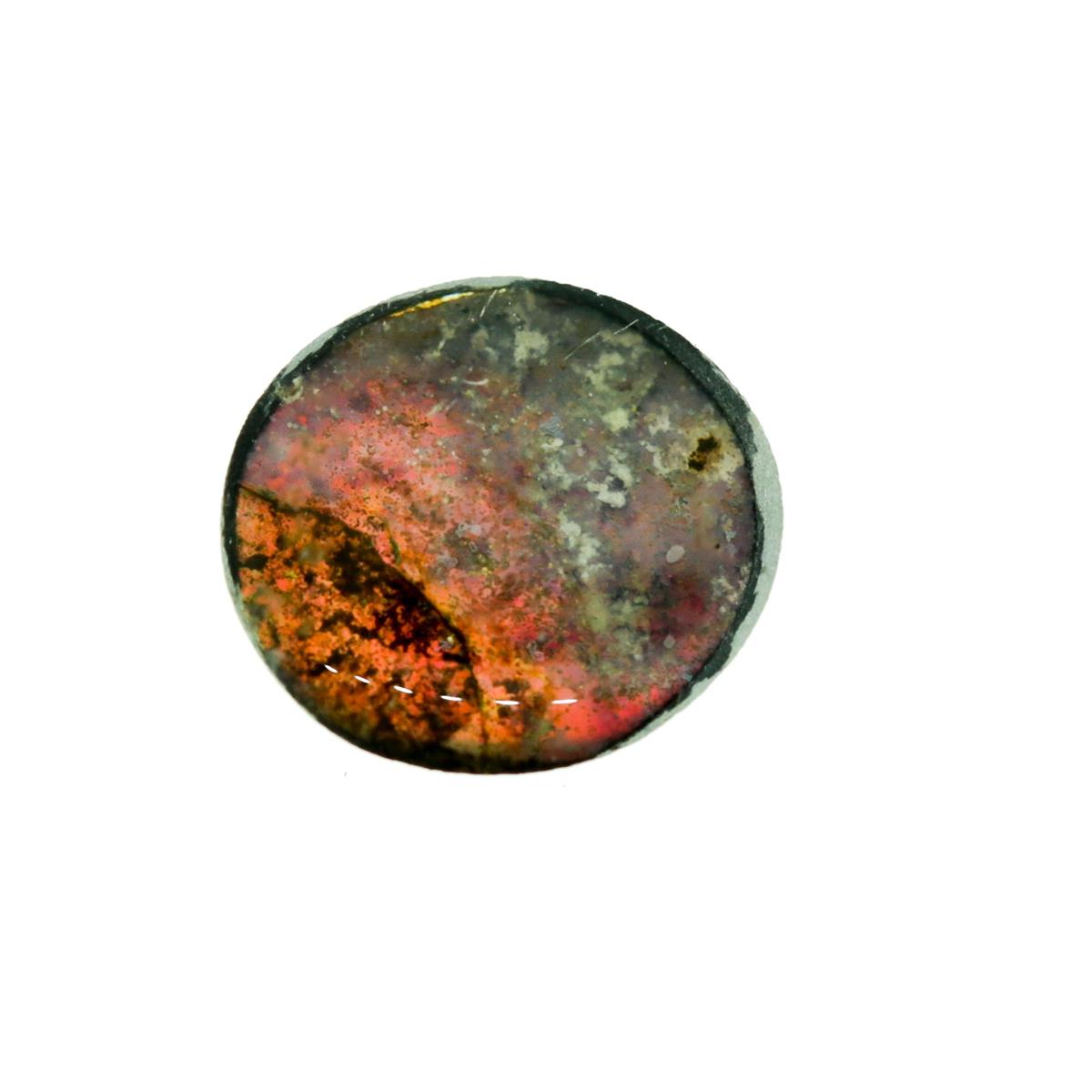 (image for) Ammolite 6mm Round Cab