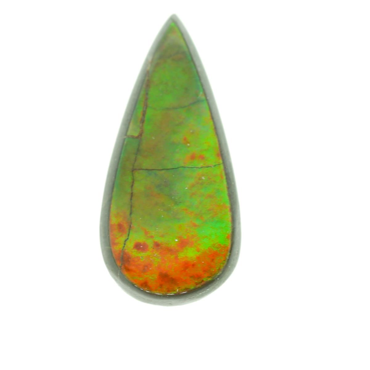 (image for) Ammolite Assorted Cab