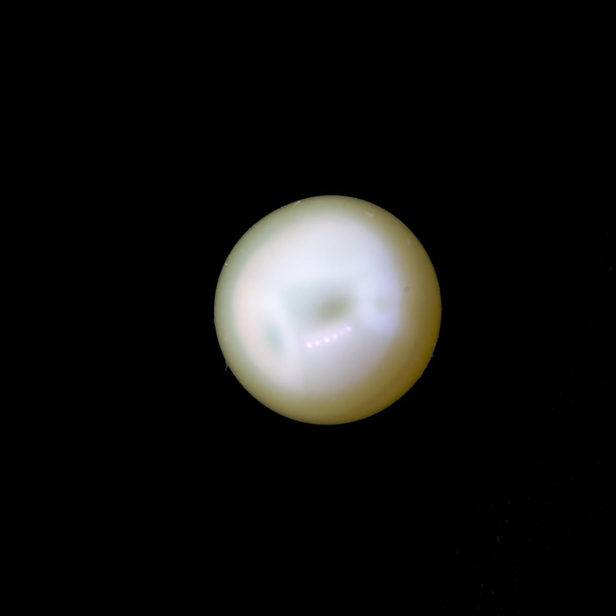 (image for) Pearl 7mm Button Peach