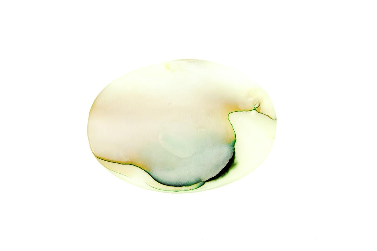 (image for) Abalone Shell 30x22mm Oval