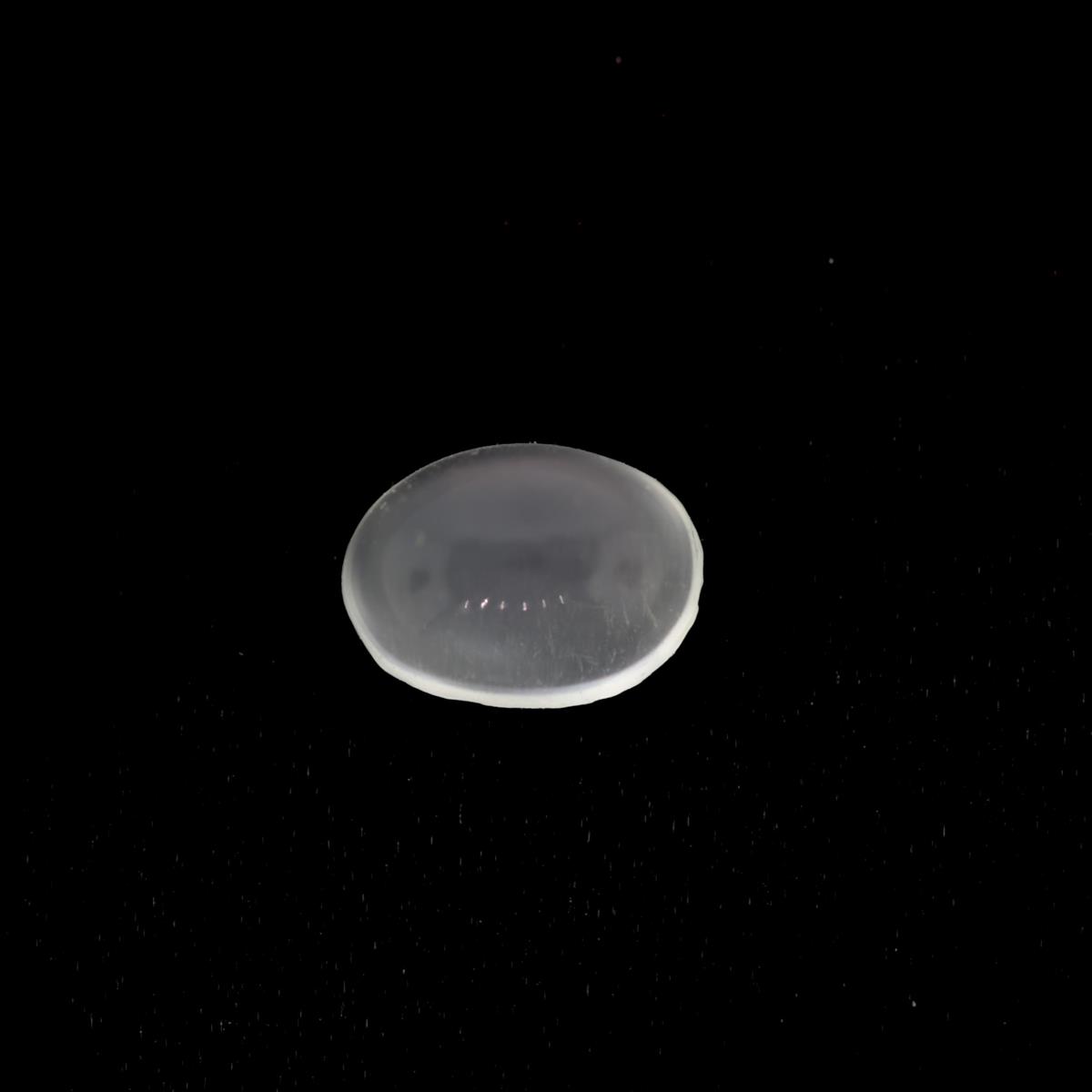 (image for) Moonstone 7x5mm Oval