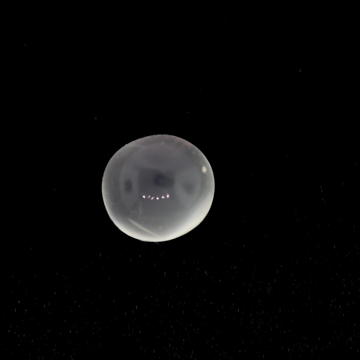 (image for) Moonstone 6.5mm Round White