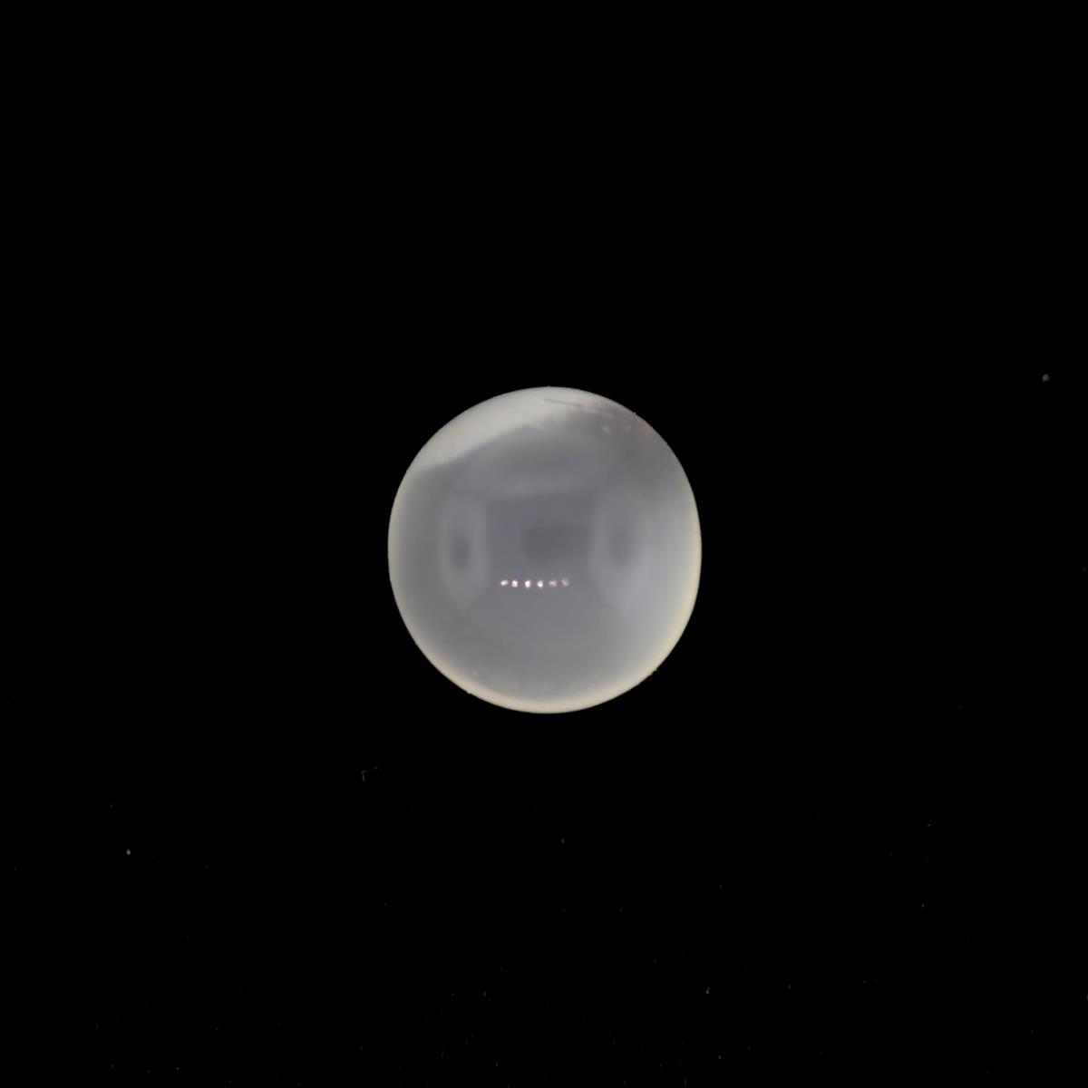 (image for) Moonstone 7.5mm Round White