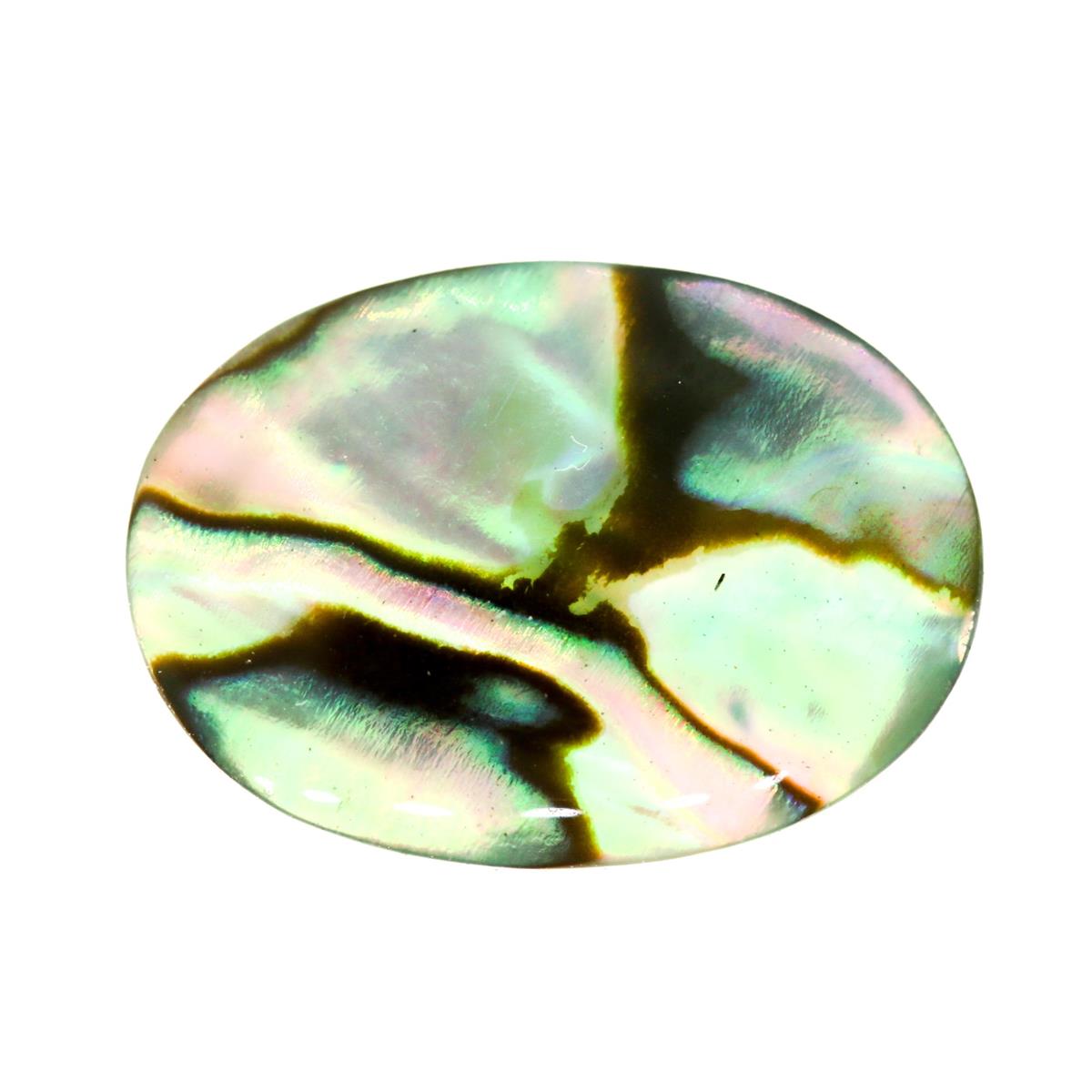 (image for) Paua Shell 14x10mm Green