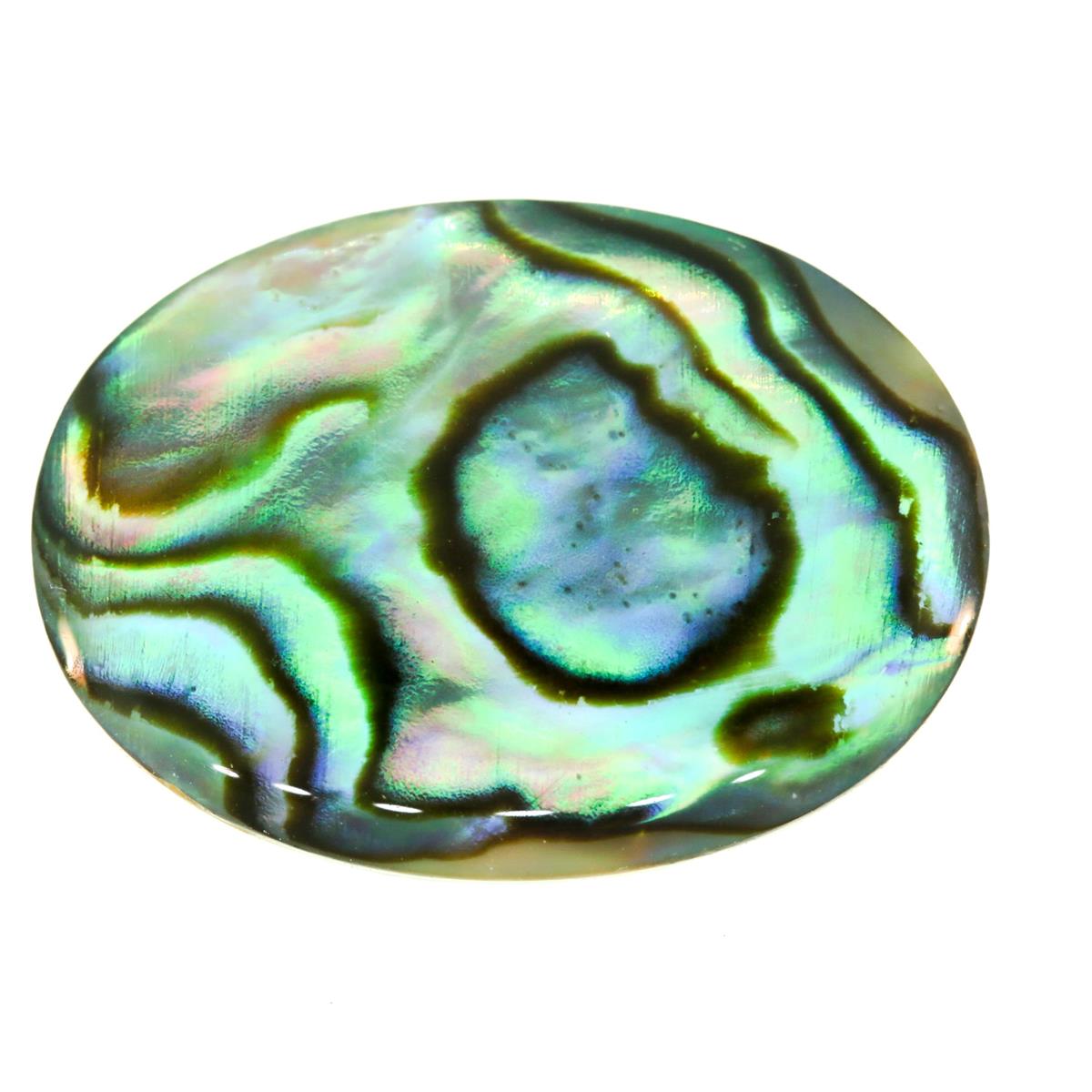 (image for) Paua 18x13mm Oval Green