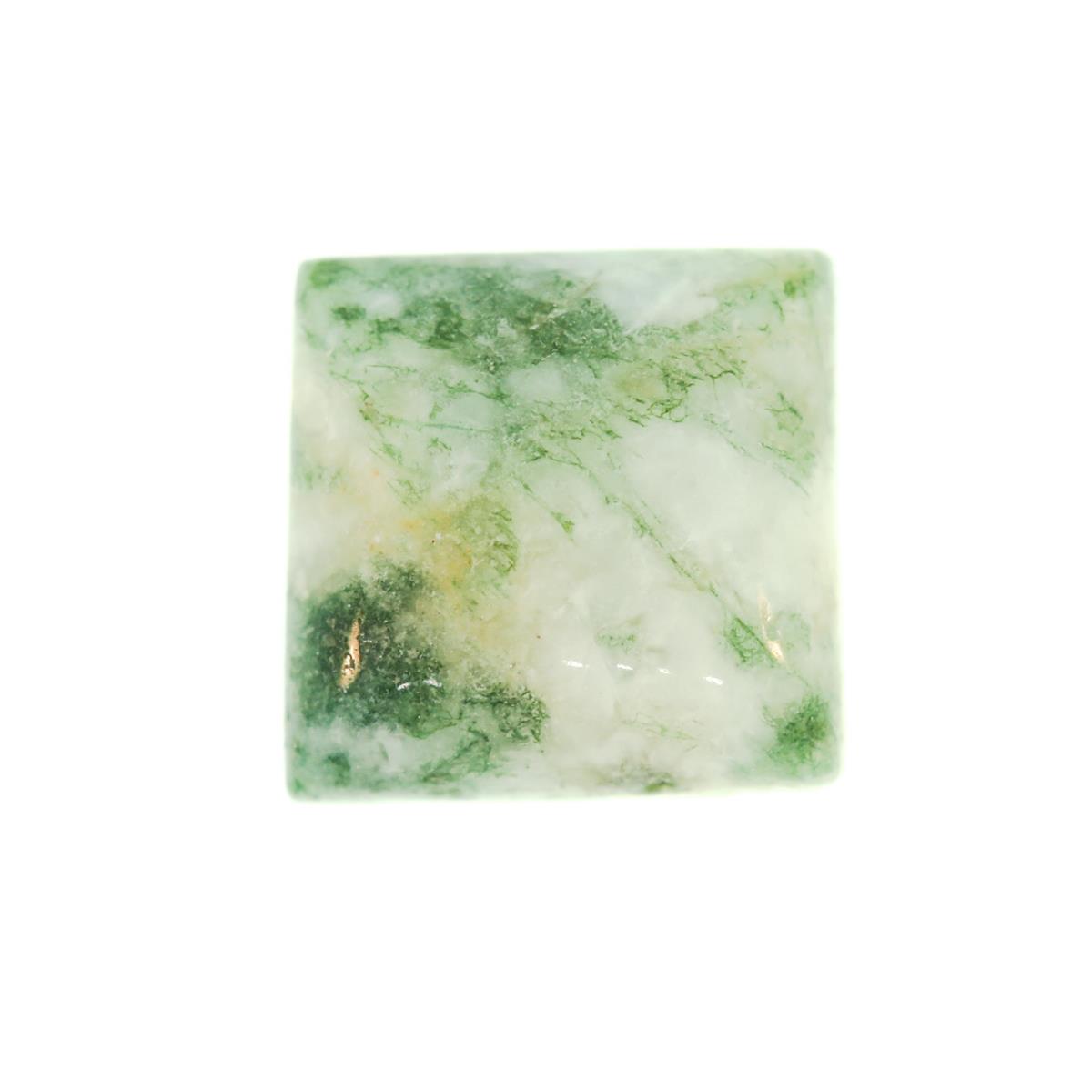 (image for) Tree Agate 8mm Square