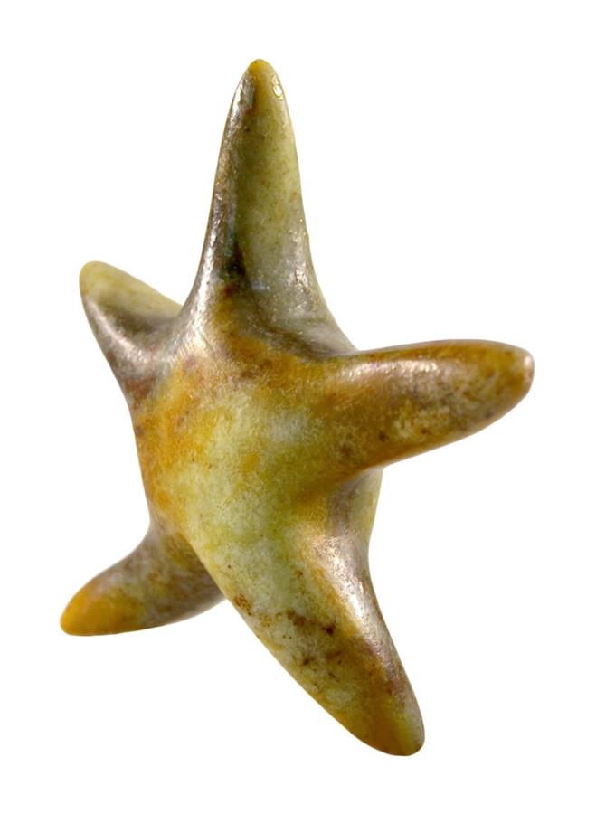 Soapstone Kit Large Starfis