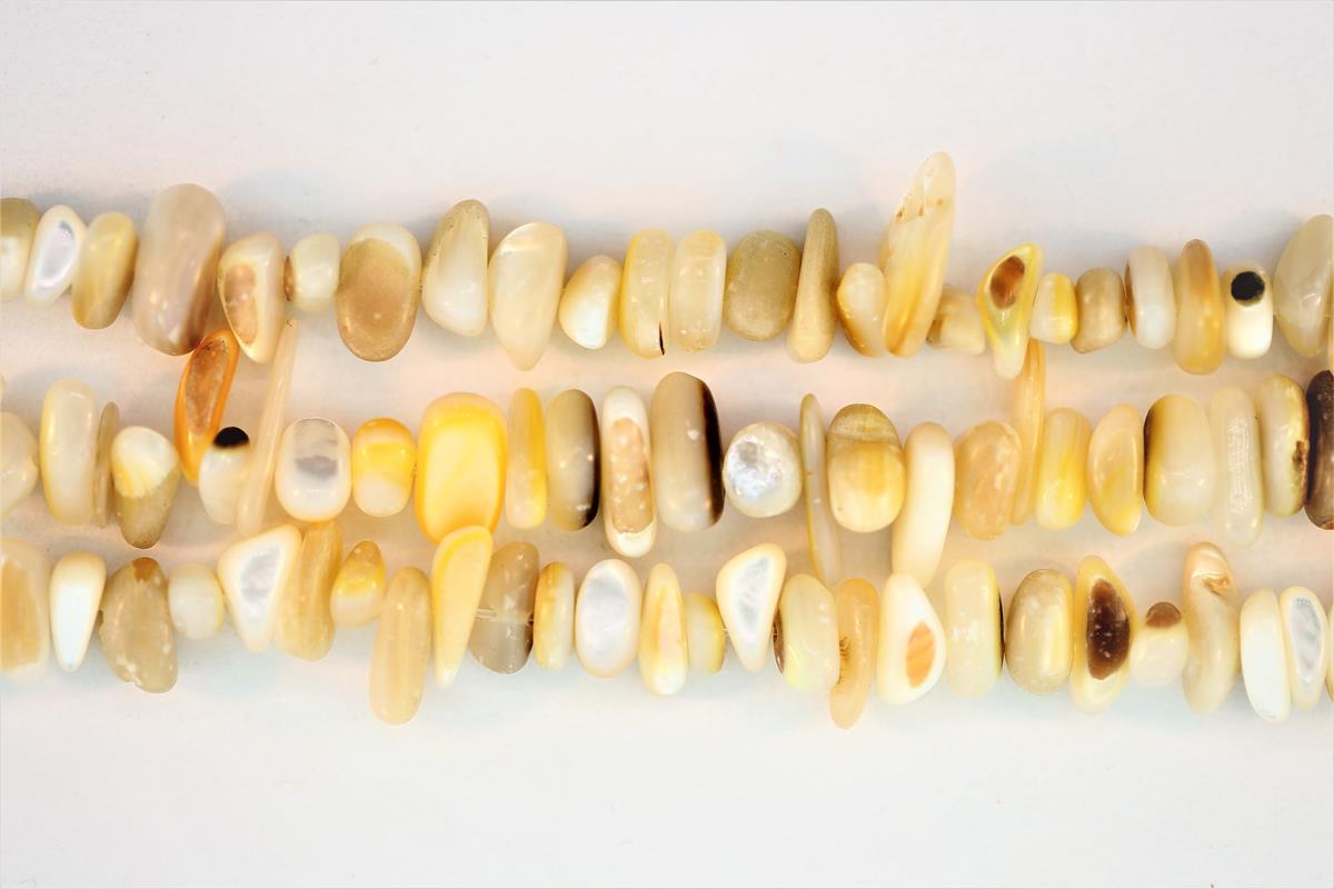 (image for) Shell Branch Chips