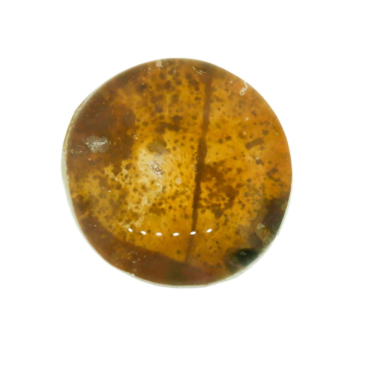 (image for) Ammolite 8mm Round