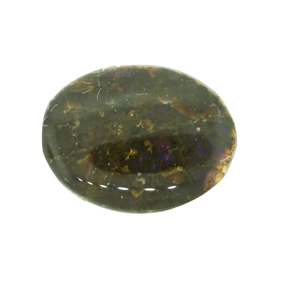 (image for) Ammolite 16x12mm Oval