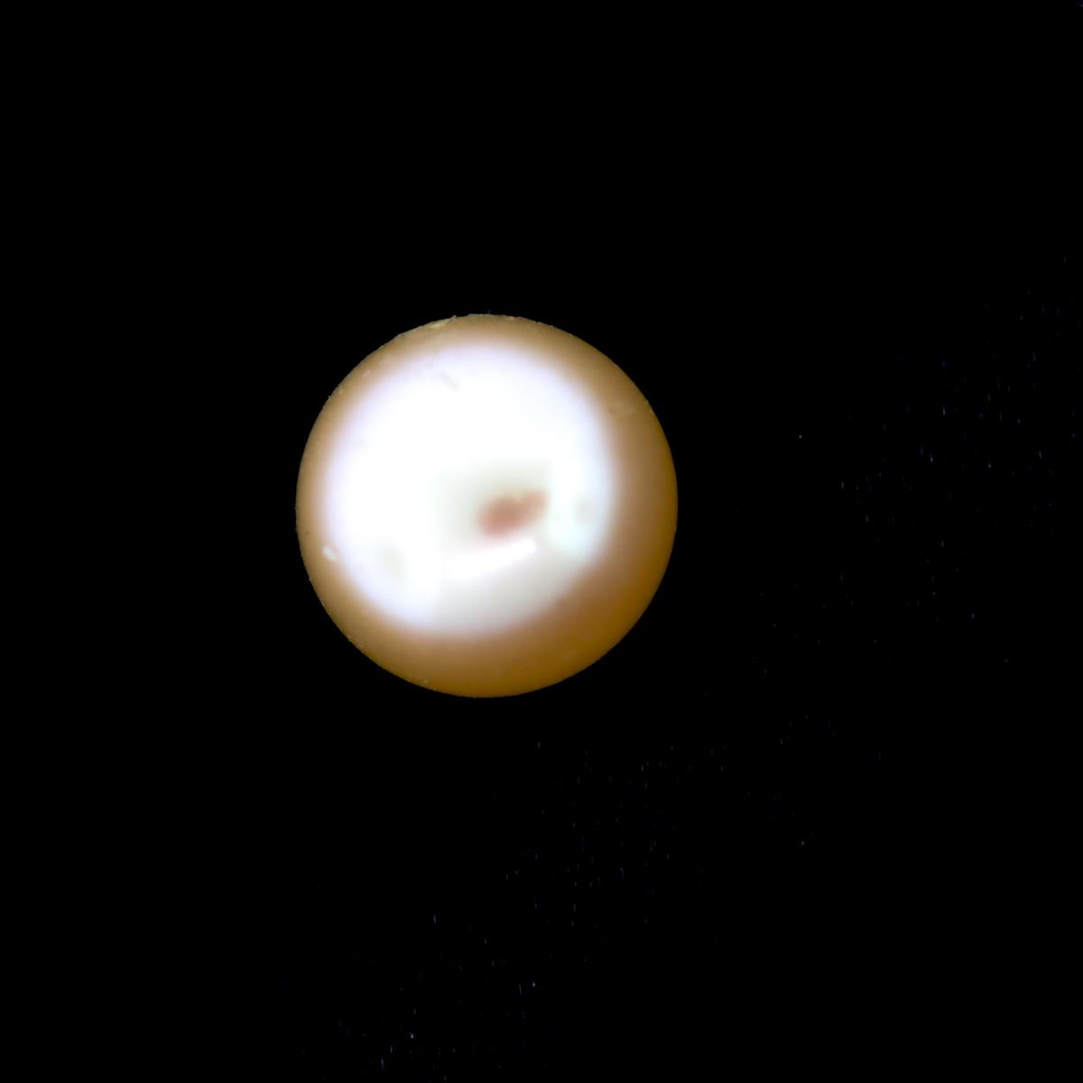 (image for) Pearl 6.5mm Button Peach