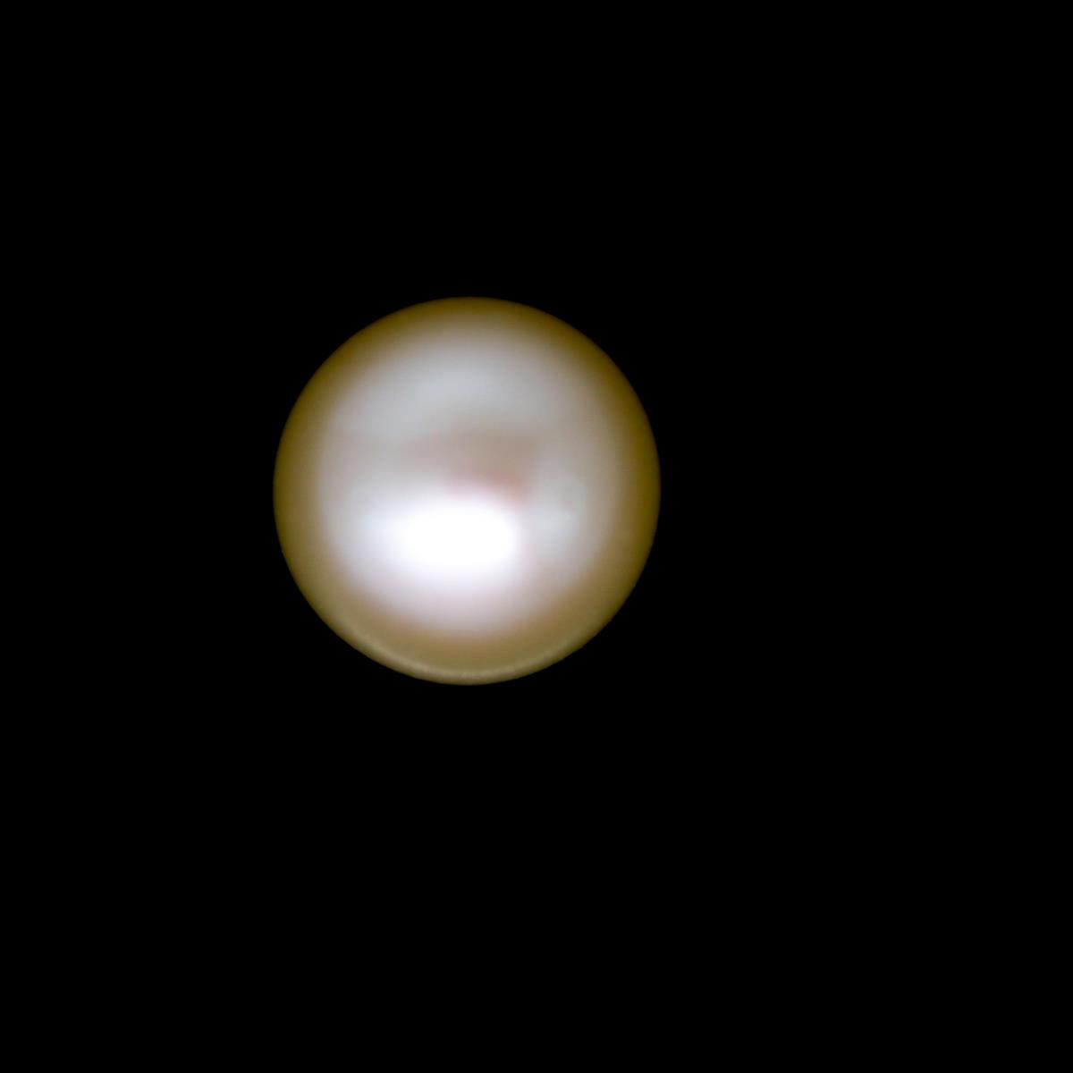 (image for) Pearl 7-7.5mm Button Peach