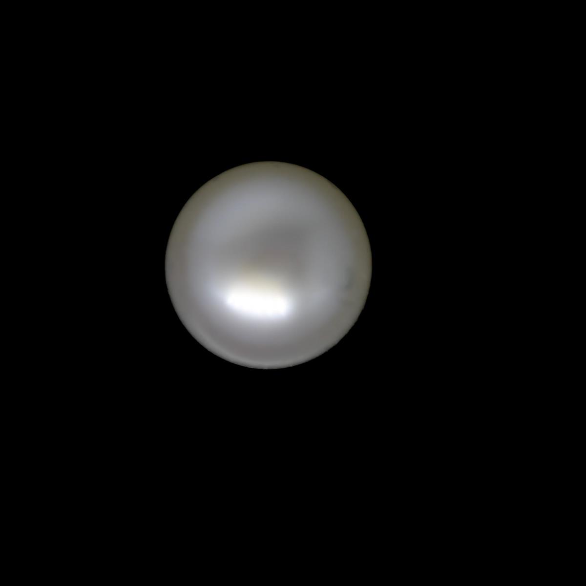 (image for) Pearl 7.5mm Button White 