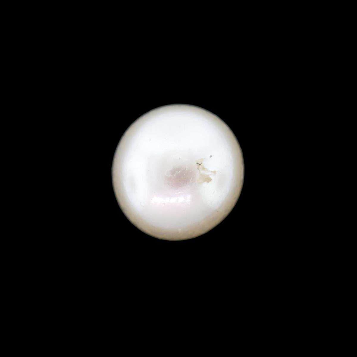 (image for) Pearl 7.5mm Button White