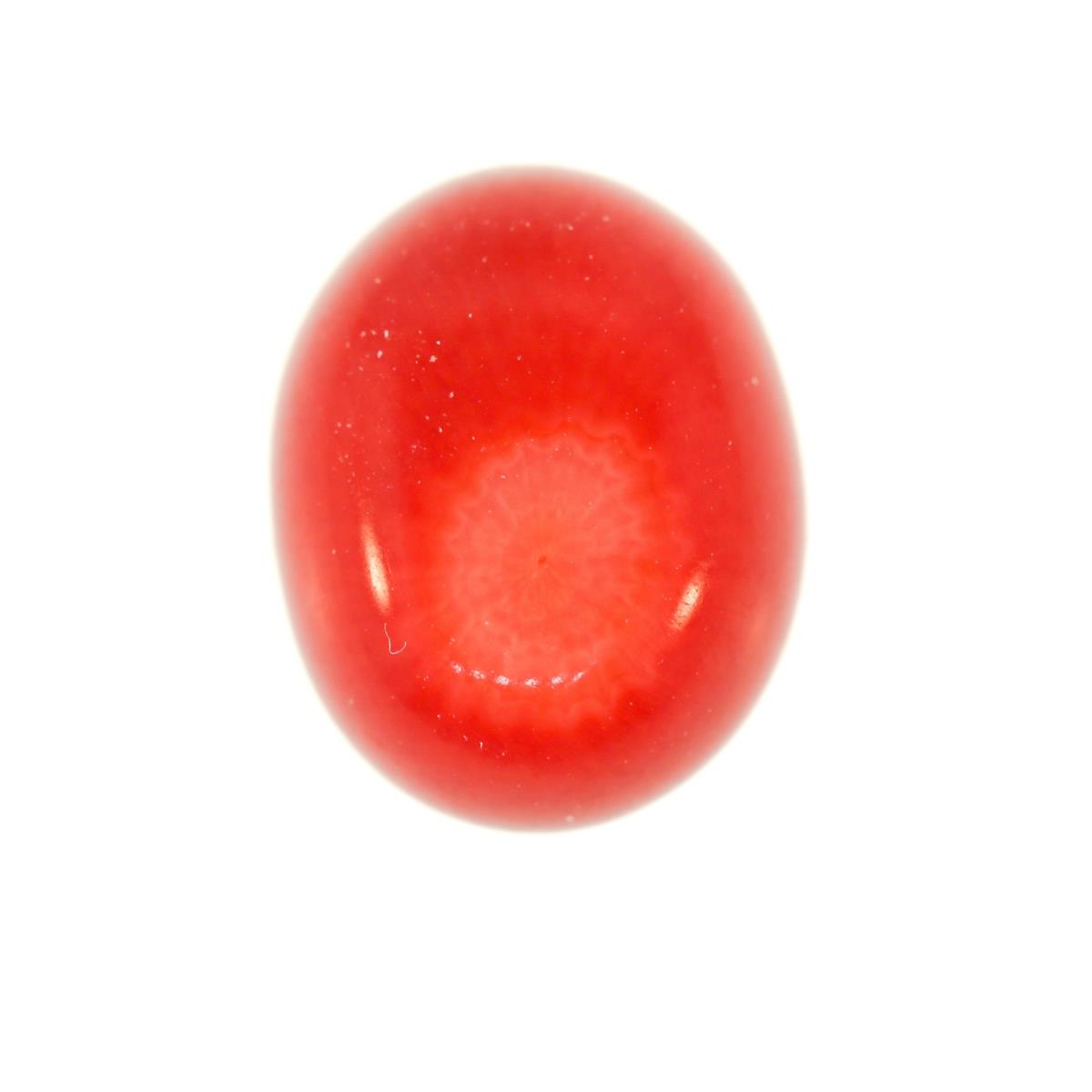 (image for) Coral 5x3.25mm Oval Red
