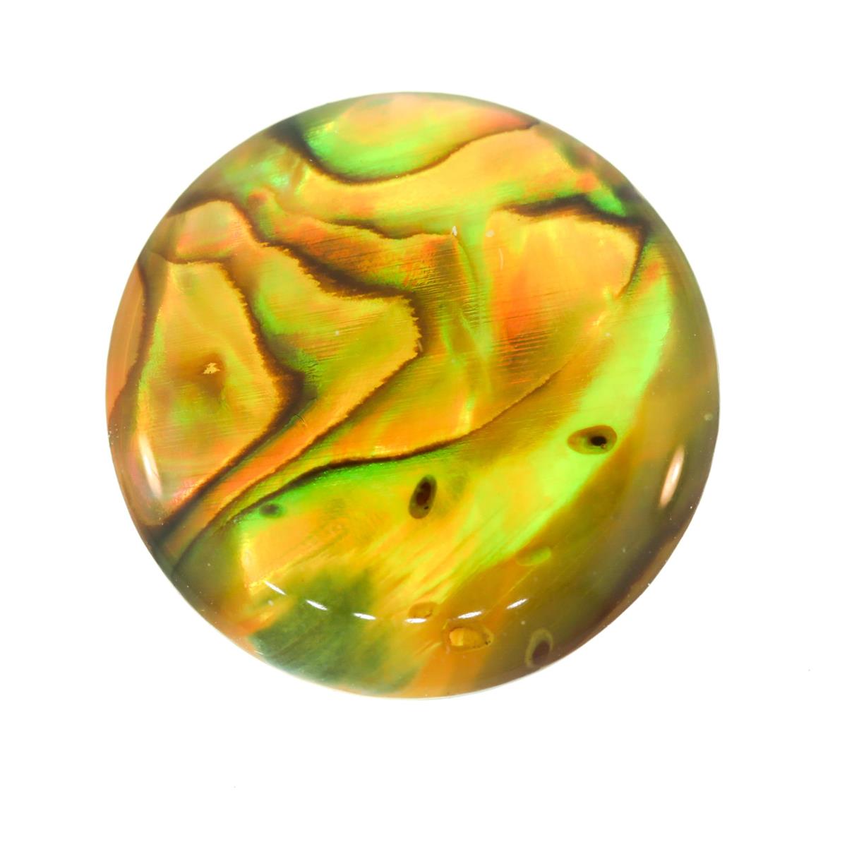(image for) Paua Shell 15mm Round Green