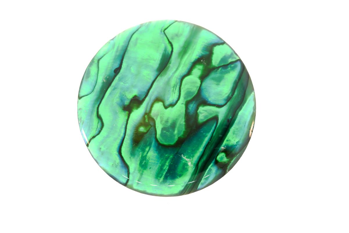 (image for) Paua Shell 30mm Round Green