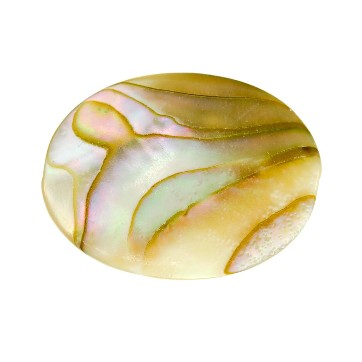 (image for) Paua Shell 16x12mm Oval Natura