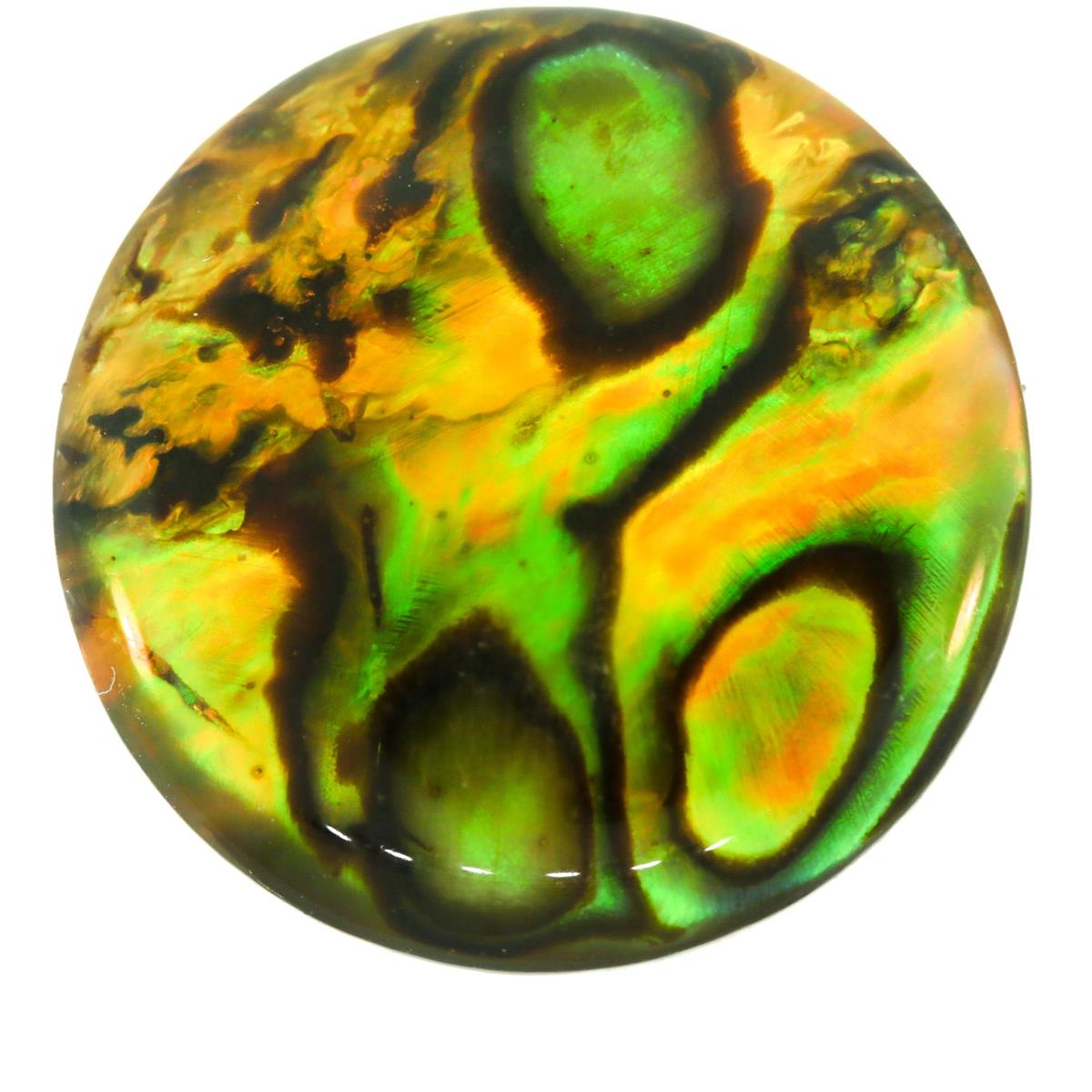 (image for) Paua Shell 20x8mm Oval Green
