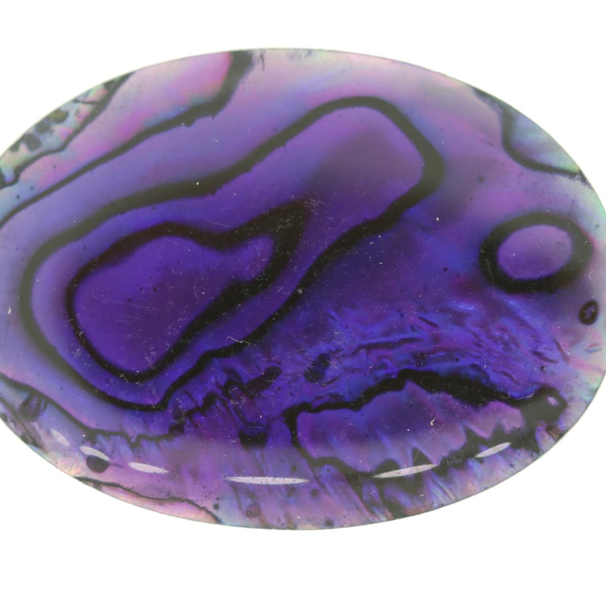 (image for) Paua Shell 25x18mm Oval Natura