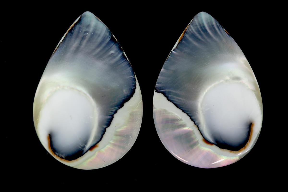 (image for) Nautilus Tigereye 33x23mm Pear