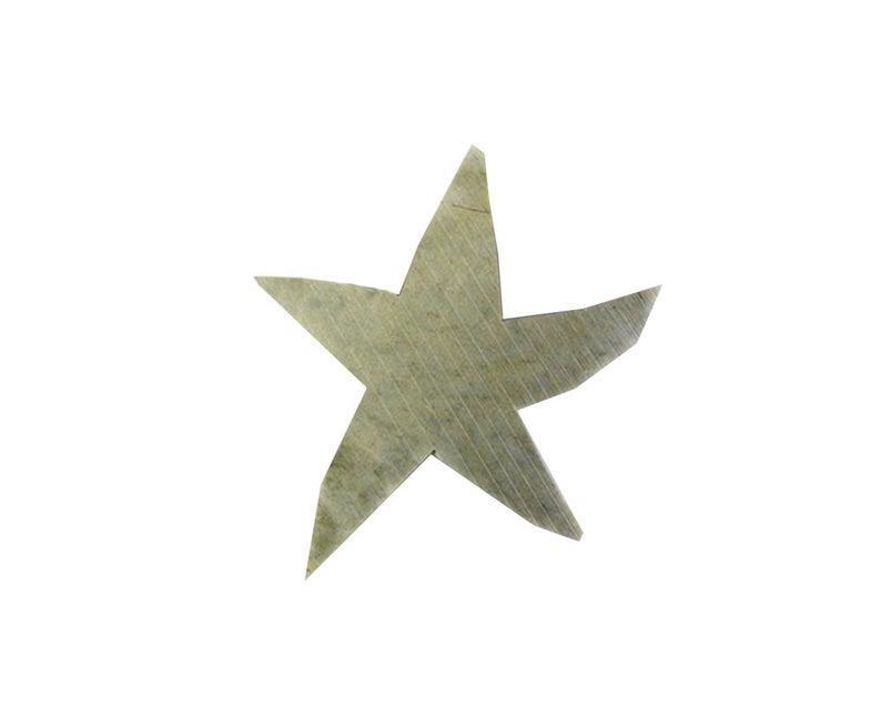 (image for) Soapstone Kit Small Starfish - Click Image to Close